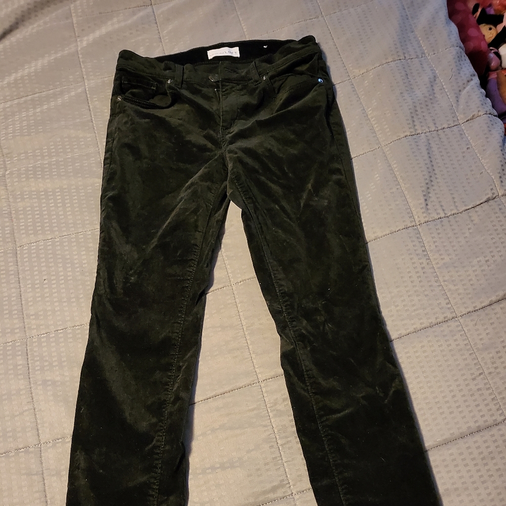 Loft pants